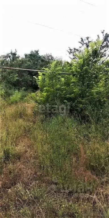 Участок в Белгородская область, Новый Оскол ул. Лермонтова (11.0 сот.) - Фото 0