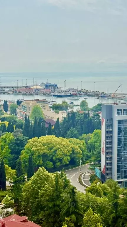 3-к кв. Краснодарский край, Сочи Центральный мкр, ул. Войкова, 34 ... - Фото 2