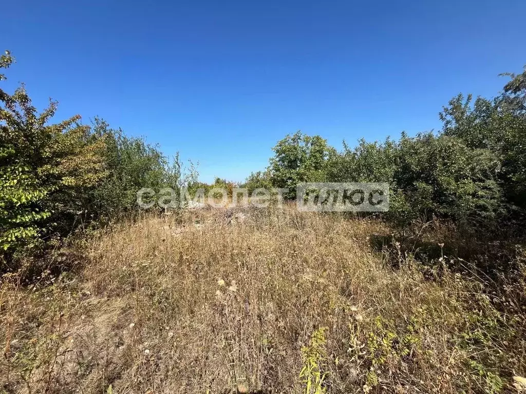 Участок в Белгородская область, Яковлевский муниципальный округ, ... - Фото 2