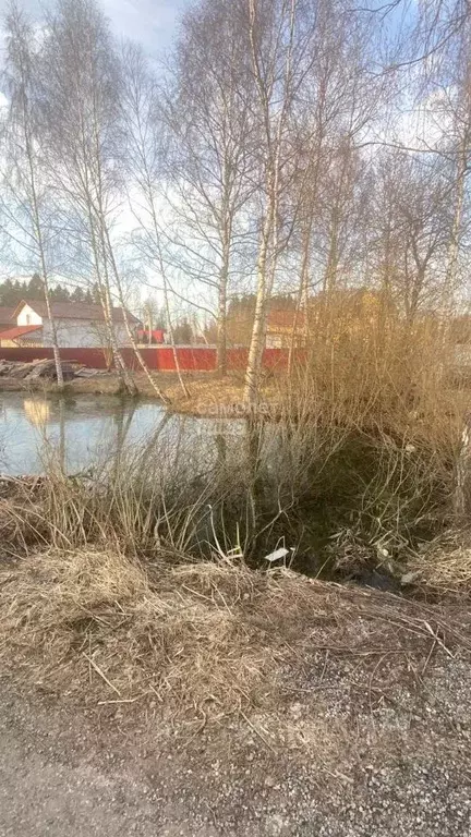Участок в Московская область, Солнечногорск городской округ, д. ... - Фото 1