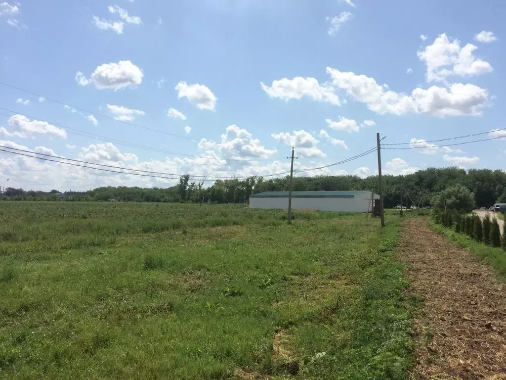 Производственное помещение в Краснодарский край, Кореновск Ростовское ... - Фото 2