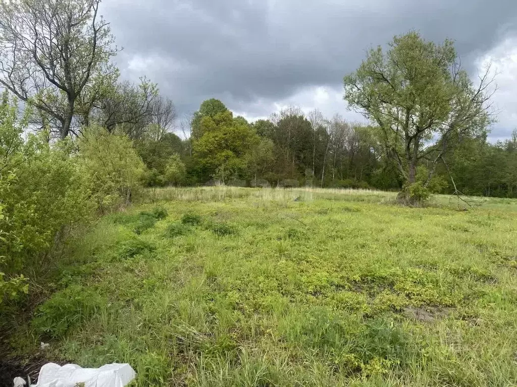 Участок в Калининградская область, Гурьевский муниципальный округ, ... - Фото 2