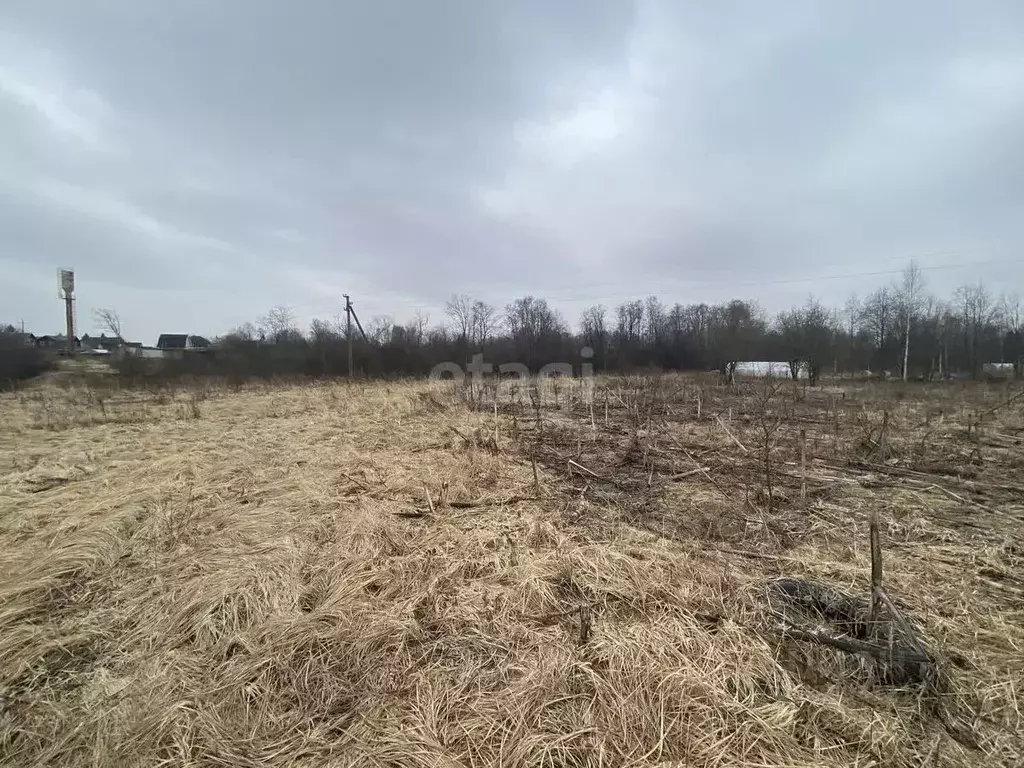 Участок в Ярославская область, Ярославский муниципальный округ, с. ... - Фото 1