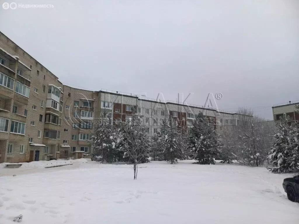 2-комнатная квартира: Пикалёво, улица Горняков, 13 (52.9 м) - Фото 2