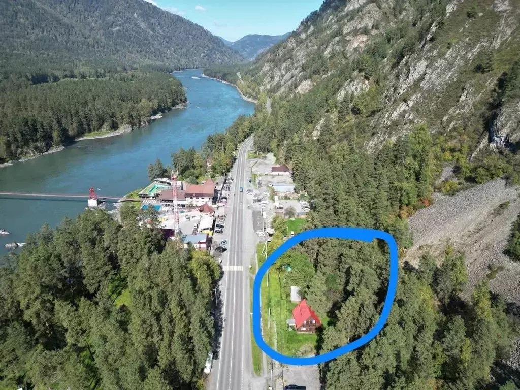 Участок в Алтай, Майминский район Р-256 Чуйский тракт, 493-й км (12.22 ... - Фото 2