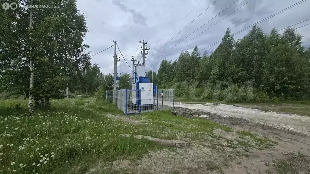 Участок в Тюмень, Центральный округ (10 м) - Фото 1