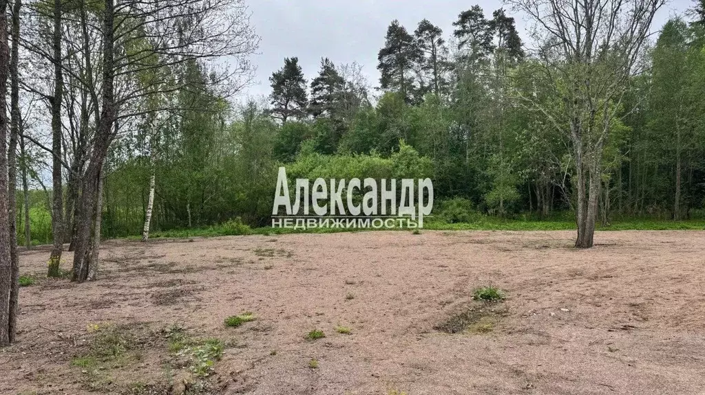 Участок в Ленинградская область, Приозерский район, Ларионовское ... - Фото 2