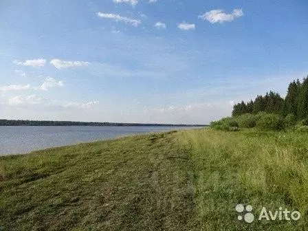 Участок в Пермский край, Пермский муниципальный округ, д. Луговая ... - Фото 1