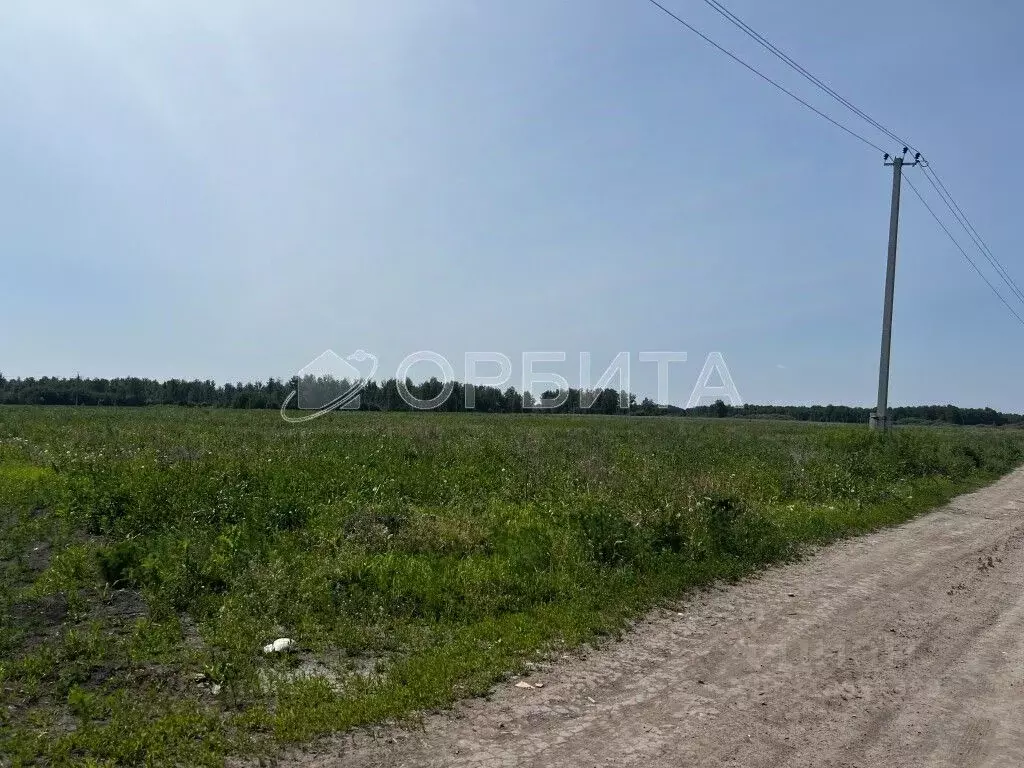 Участок в Тюменская область, Тюменский район, с. Горьковка Сибирская ... - Фото 0
