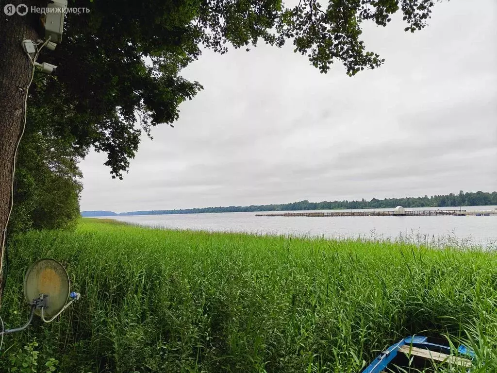 Участок в Осьминское сельское поселение, деревня Извоз (183 м) - Фото 1