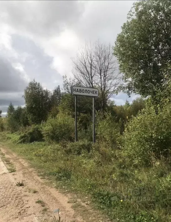 Участок в Архангельская область, Холмогорский муниципальный округ, д. ... - Фото 2