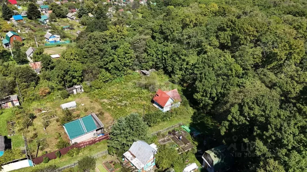 Дом в Приморский край, Надеждинский район, Луч Маяка СНТ  (50 м) - Фото 1