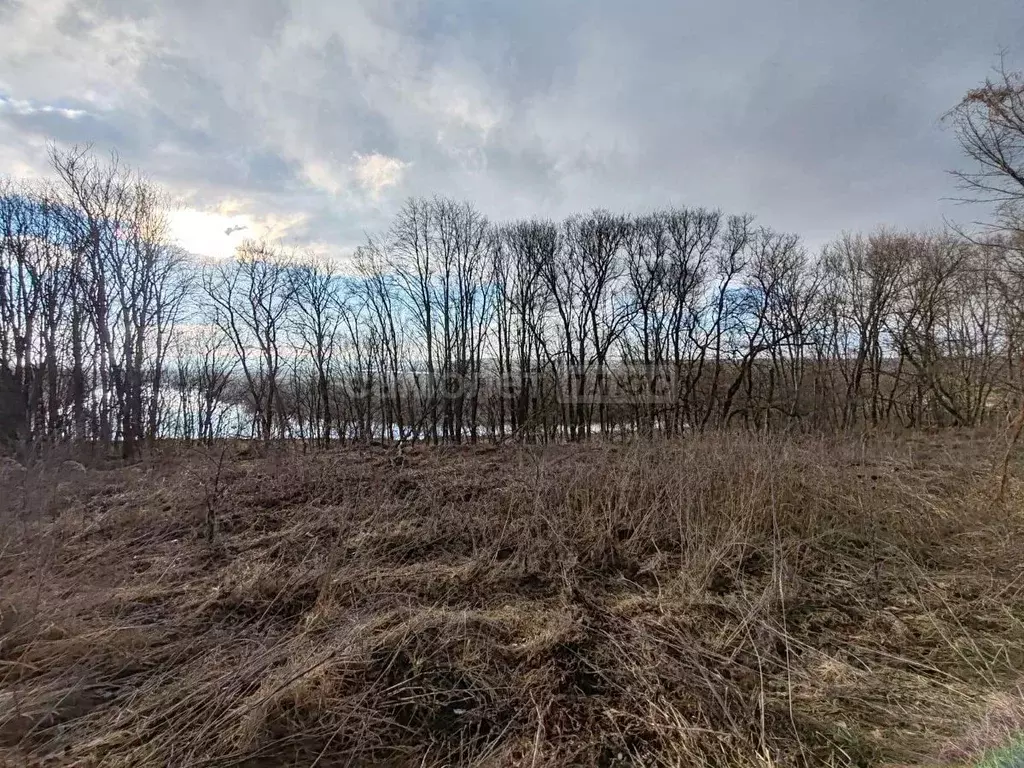 Участок в Калужская область, Калуга городской округ, д. Андреевское  ... - Фото 0