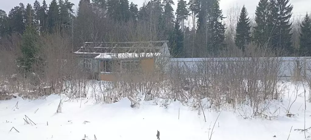 Участок в Тверская область, Калининский муниципальный округ, д. Труд  ... - Фото 1