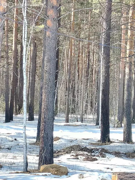 Участок в Иркутский муниципальный округ, ДПК Садко, Летний проезд, 32 ... - Фото 1