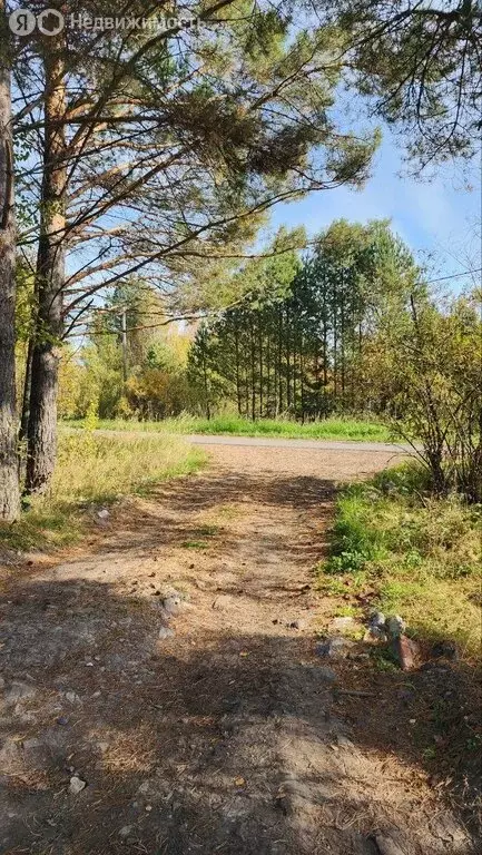 Участок в Томский район, Богашёвское сельское поселение, ДНП ... - Фото 2