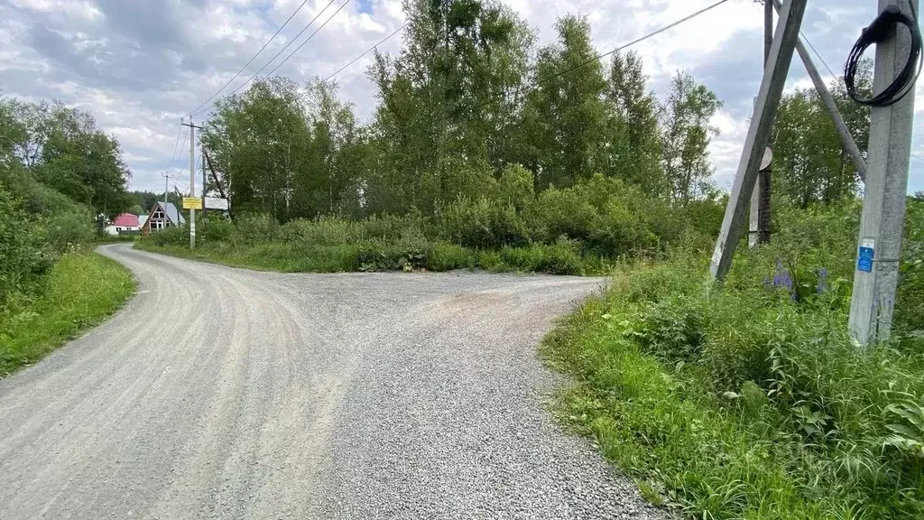 Участок в Томская область, Томский район, Лесная дача СНТ  (6.9 сот.) - Фото 1