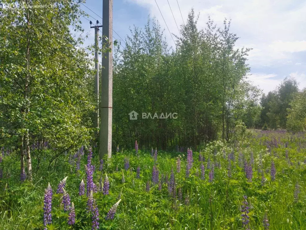 Участок в городской округ Владимир, деревня Аббакумово (425.6 м) - Фото 1