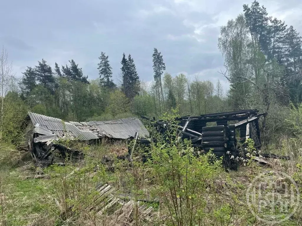 Дом в Псковская область, Опочка  (38 м) - Фото 1