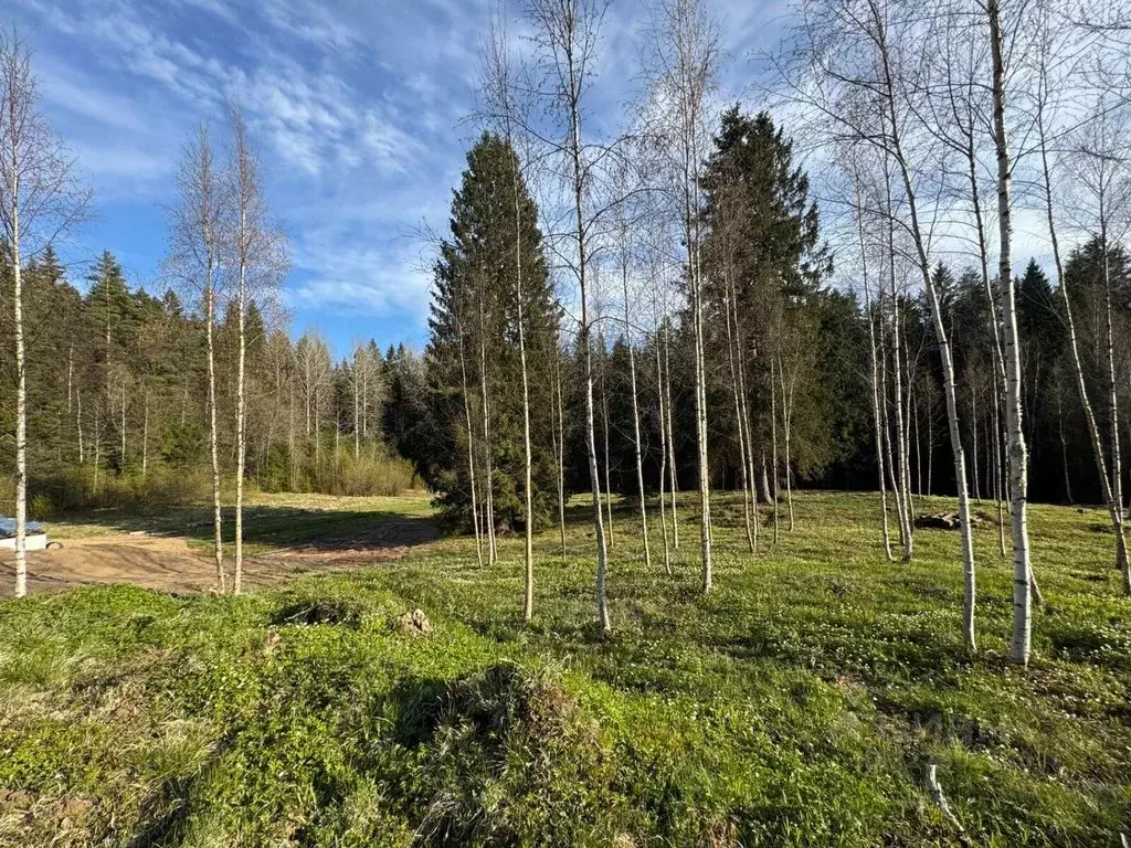 Участок в Ленинградская область, Выборгский район, Полянское с/пос, ... - Фото 2