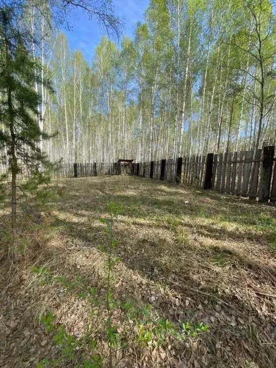 Участок в Иркутская область, Иркутский муниципальный округ, с. Мамоны ... - Фото 1