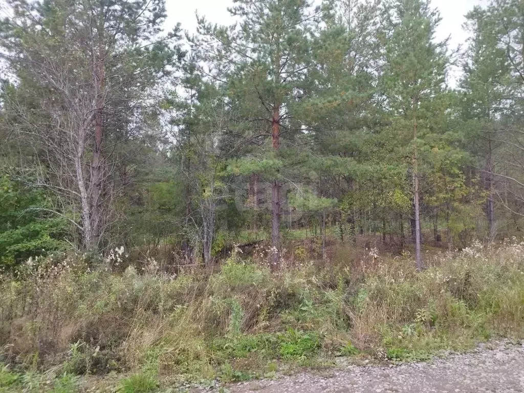 Участок в Свердловская область, Талица пл. Молодежная (12.0 сот.) - Фото 1