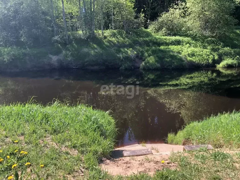 Участок в Ленинградская область, Киришский район, Пчевжинское с/пос, ... - Фото 2