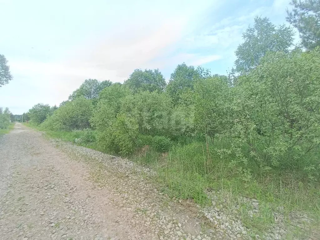Участок в Нижегородская область, Богородский муниципальный округ, д. ... - Фото 1