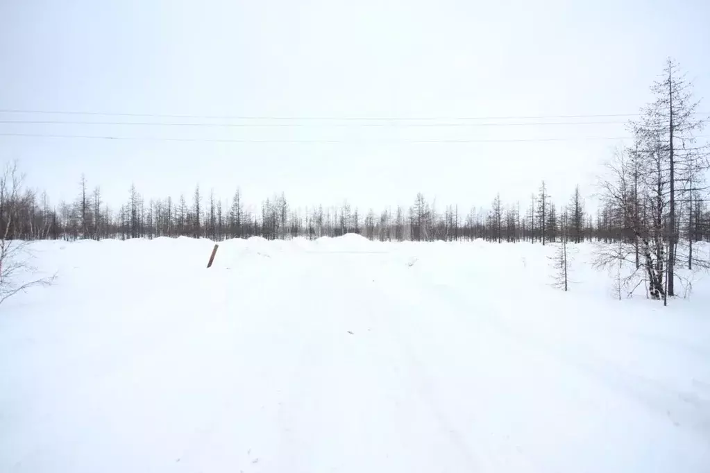 Участок в Ямало-Ненецкий АО, Новый Уренгой Фемида СНТ, ул. 1-я ... - Фото 1
