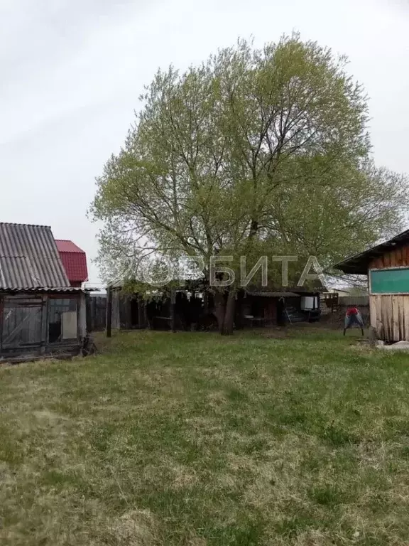 Участок в Тюменская область, Тюмень Торфяник-1 СНТ, 12 (62.0 сот.) - Фото 1