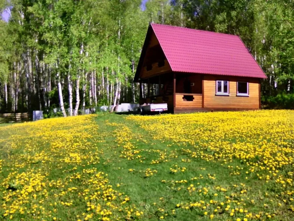 Купить Дачу У Села Никольского