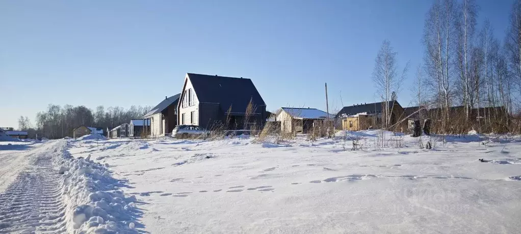 Участок в Новосибирская область, Новосибирский район, Станционный ... - Фото 0