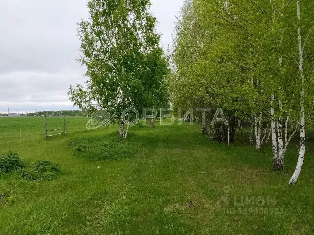 Участок в Тюменская область, Нижнетавдинский район, Царицыно СНТ  ... - Фото 1