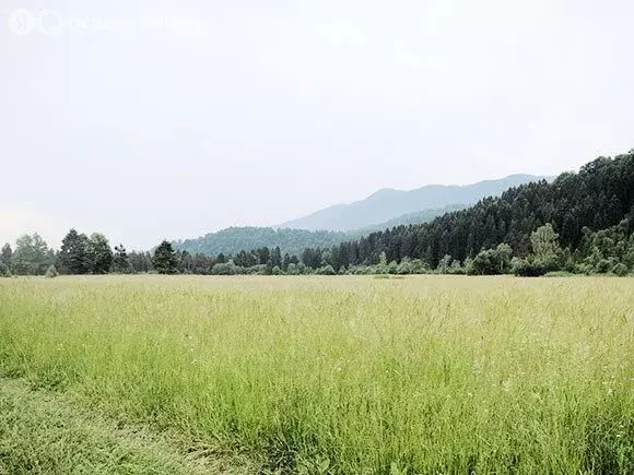 Участок в Московская область, городской округ Красногорск, рабочий ... - Фото 1