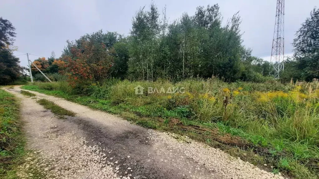Участок в Владимирская область, Судогодский район, Лавровское ... - Фото 1