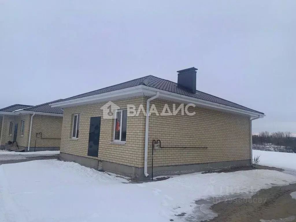 Дом в Воронежская область, с. Новая Усмань ул. Набережная (64 м) - Фото 0