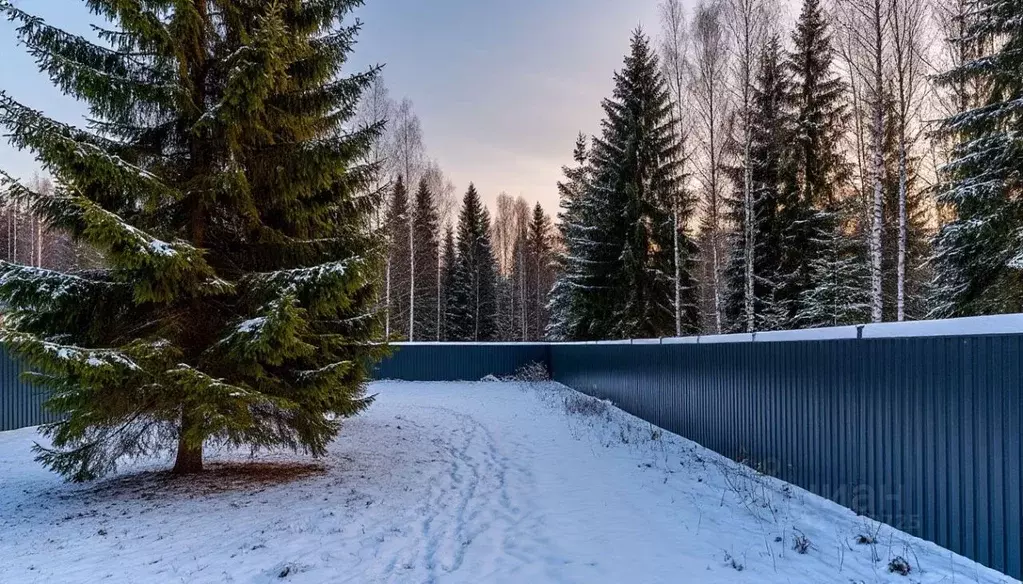 Участок в Московская область, Дмитровский муниципальный округ, д. ... - Фото 1