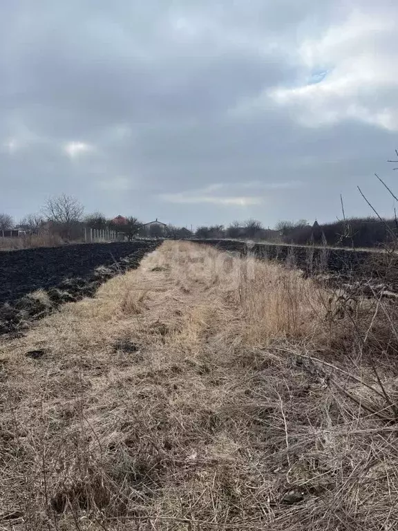 Участок в Белгородская область, Белгородский муниципальный округ, ... - Фото 1