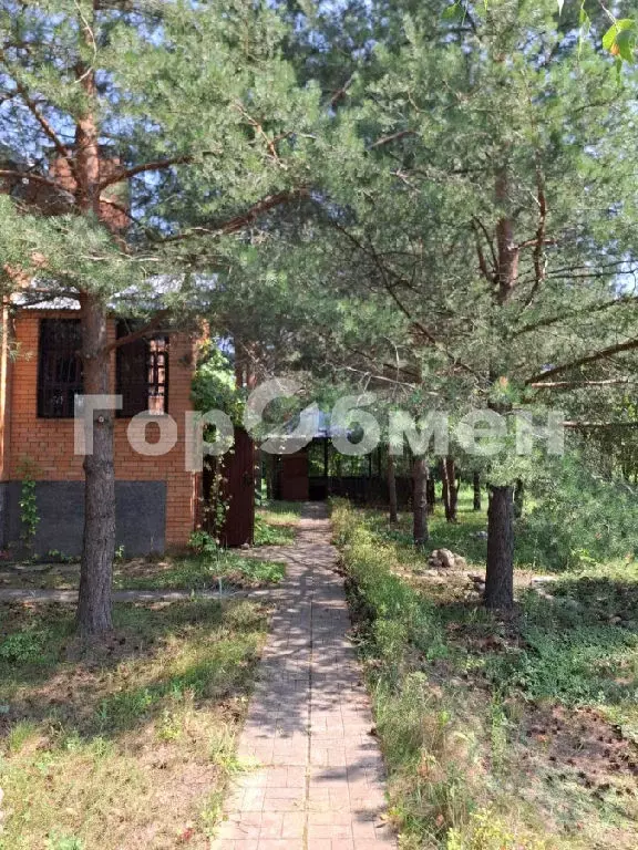 Продается дом в д. Марьино - Фото 2