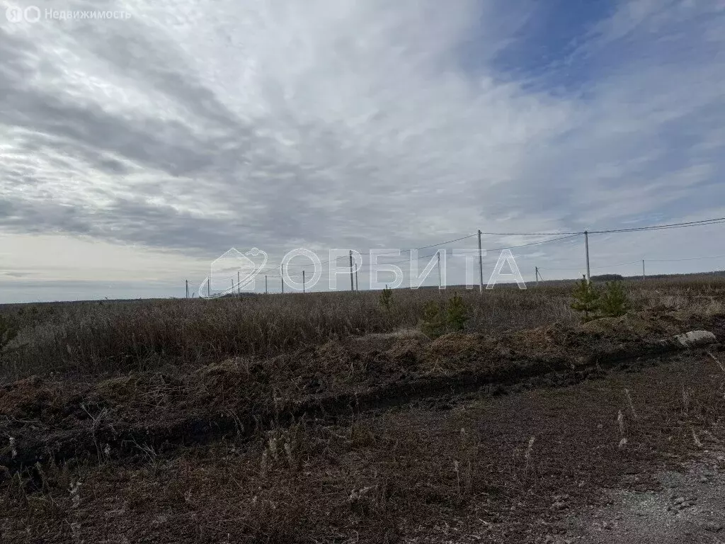 Участок в Тюмень, садовое товарищество Русь (11 м) - Фото 2