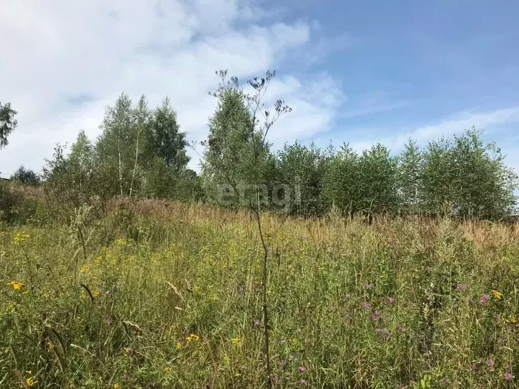 Участок в Московская область, Серпухов городской округ, д. ... - Фото 1