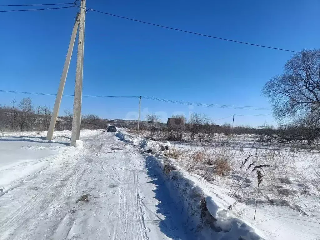 Участок в Амурская область, Благовещенск городской округ, с. Садовое ... - Фото 0