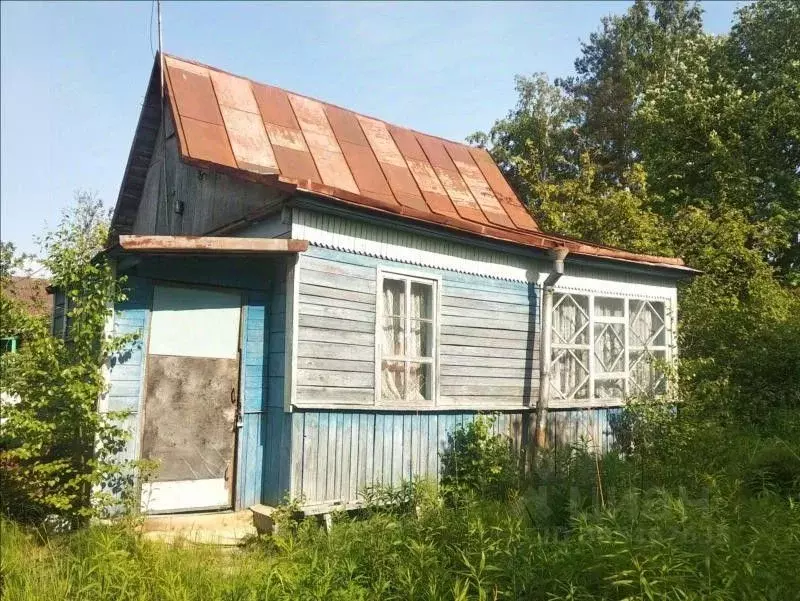 Участок в Санкт-Петербург Дружный-2 СНТ,  (8.0 сот.) - Фото 1