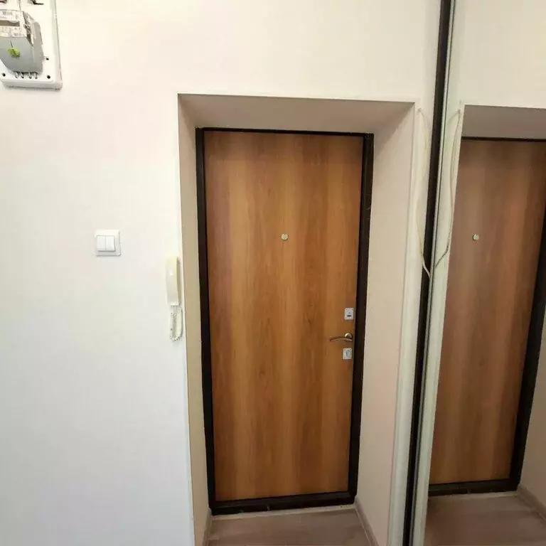 2-комнатная квартира: Екатеринбург, переулок Замятина, 38к2 (22.5 м) - Фото 2