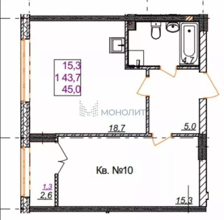 1-комнатная квартира: Анкудиновка, Русская улица, 3 (43.6 м) - Фото 0