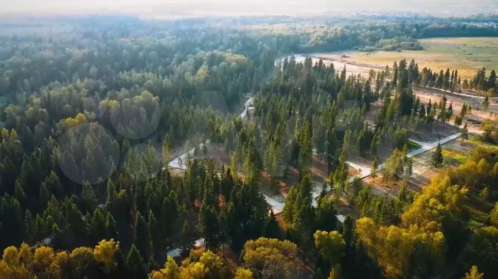 Участок 8,3 сот. (ИЖС) - Фото 1