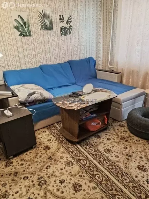 1-комнатная квартира: село Спасское, Центральная улица, 82 (31.9 м) - Фото 1