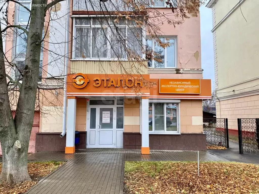 Торговая площадь (54 м) - Фото 1