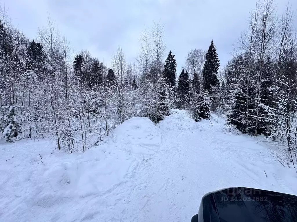 Участок в Московская область, Солнечногорск городской округ, Яблочный ... - Фото 1