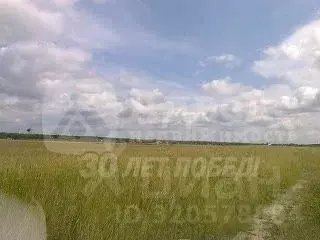 Участок в Тюменская область, Тюменский район, д. Речкина  (12.0 сот.) - Фото 2